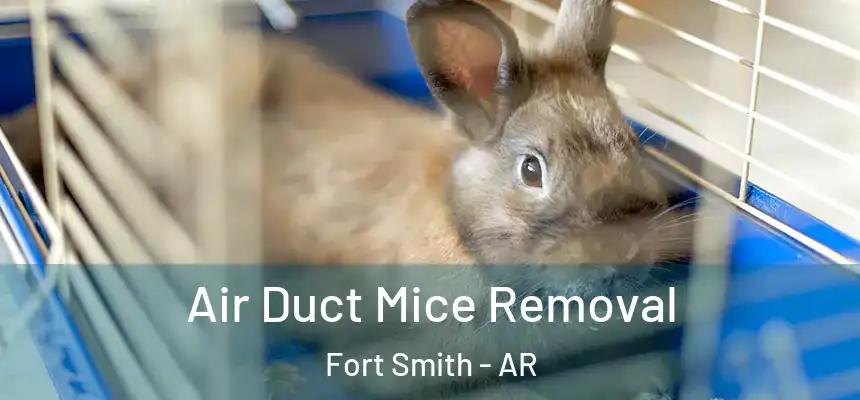 Air Duct Mice Removal Fort Smith - AR