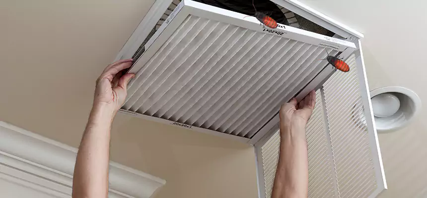 Our Insect Removal from Air Ducts Services in Fort Smith, AR