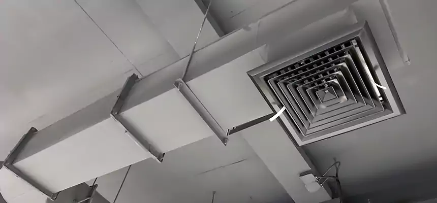 Our Pest Removal From Ducts Services in Fort Smith, AR