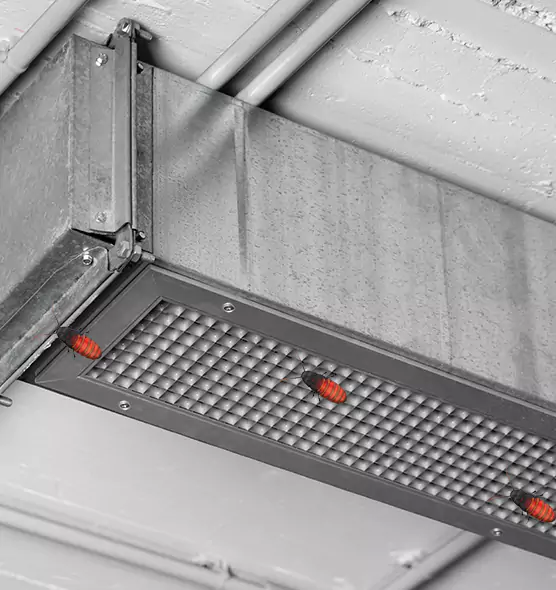 About Air Duct Cockroach Removal in Fort Smith, AR