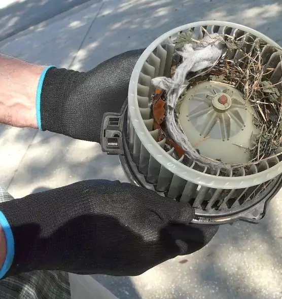 About Air Duct Rat Removal in Fort Smith, AR