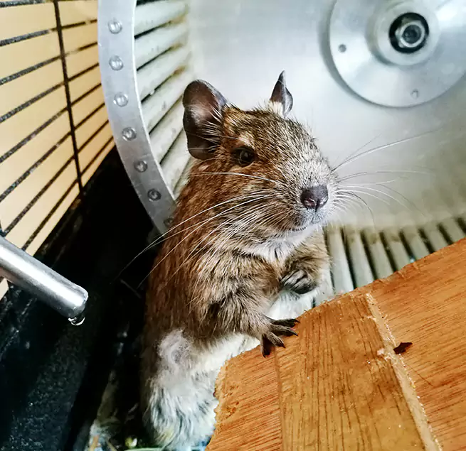 Why Homeowners & Businesses Trust Us Fort Smith, AR